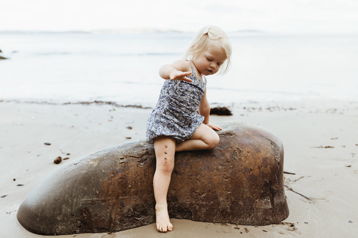 Isla Playsuit Daisy floral