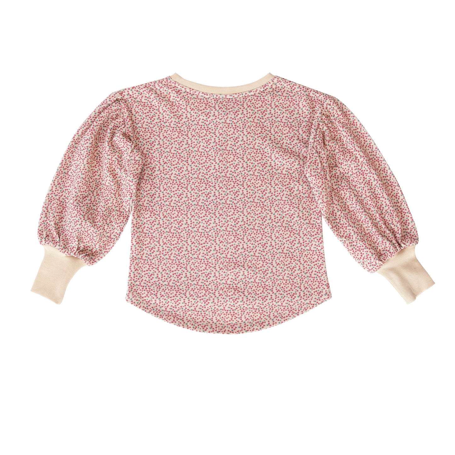 Sara Crew in mini heart