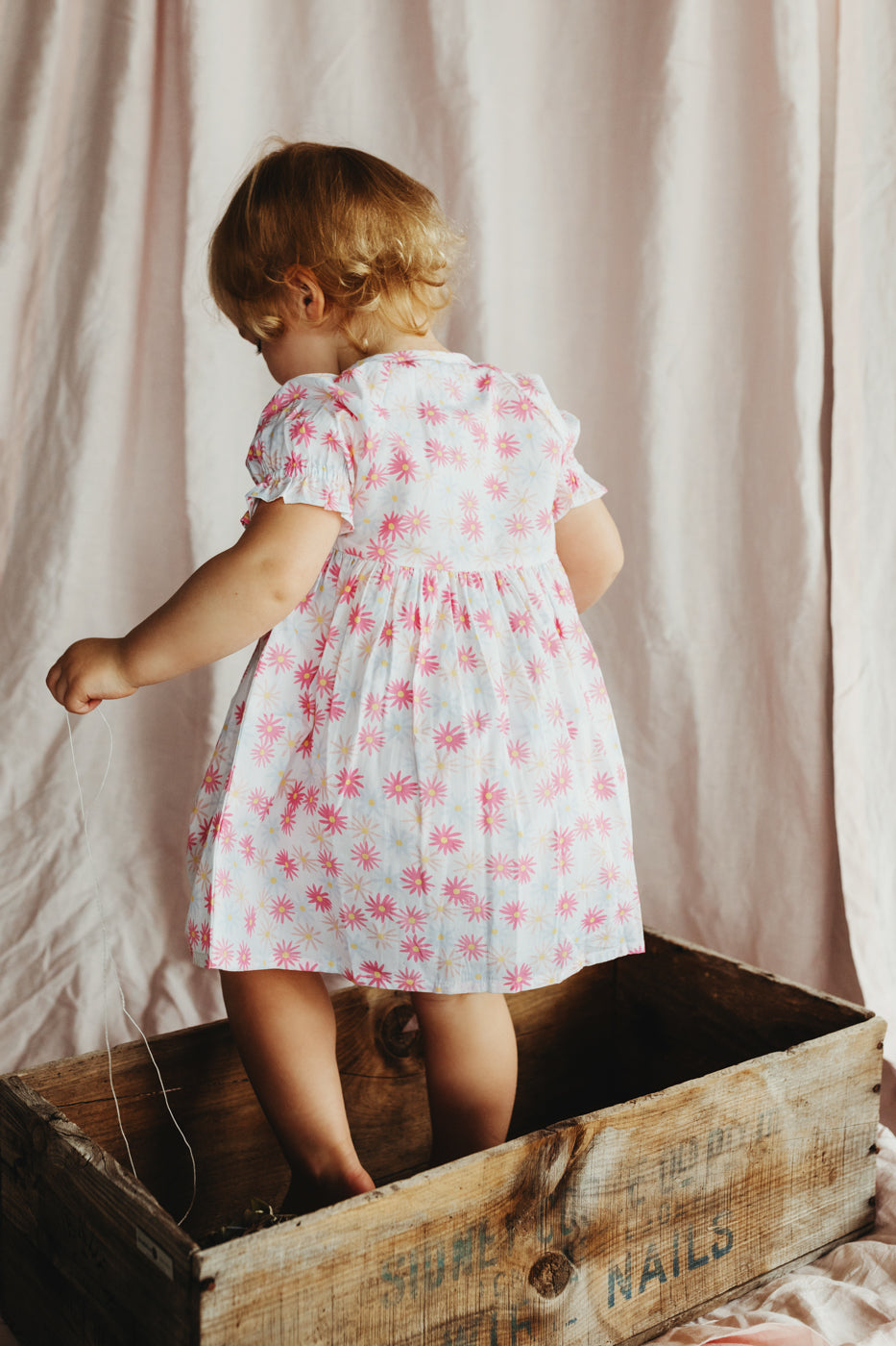 Celebration Dress Betsy Peterson Daisy Print